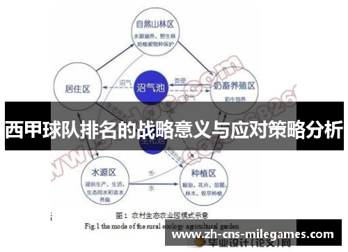 西甲球队排名的战略意义与应对策略分析