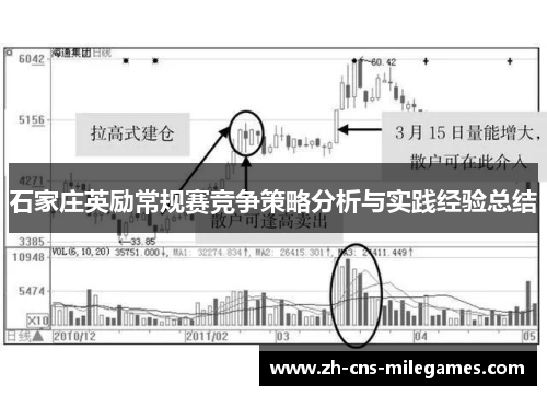 石家庄英励常规赛竞争策略分析与实践经验总结