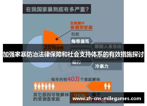 加强家暴防治法律保障和社会支持体系的有效措施探讨